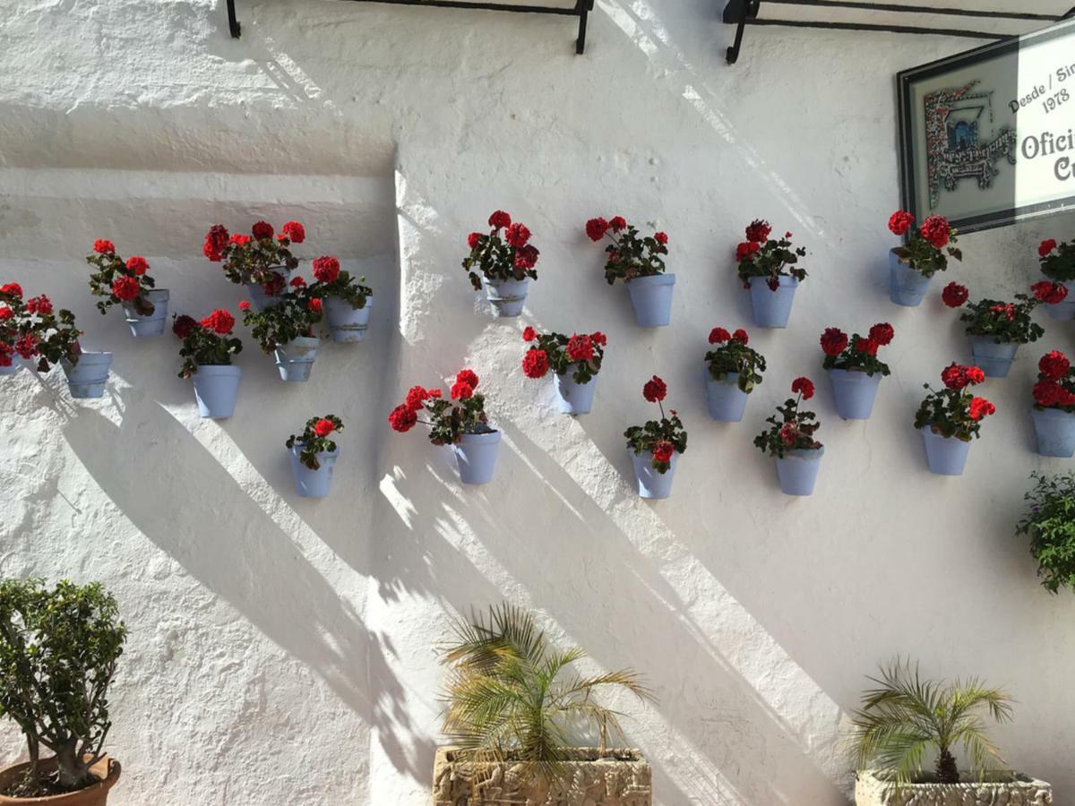 Riscos Apartament *